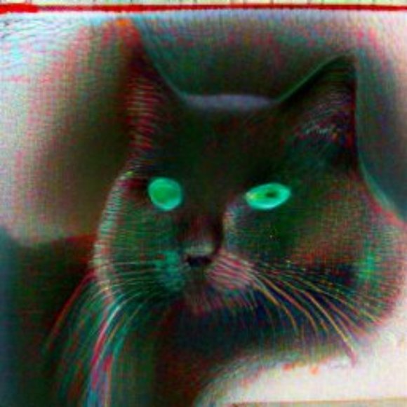 Meet your Posher, Fleshstew - Picture 1 of 1